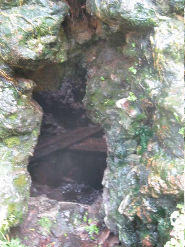 looking into the big cave from the opening (Pahoa)